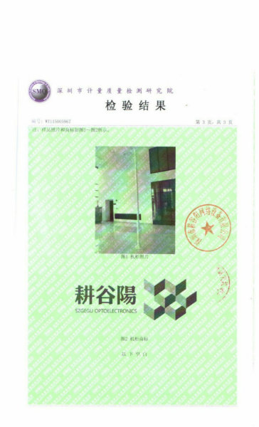 監(jiān)控立桿檢測報(bào)告3
